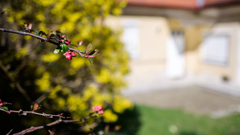 CASA GRUIA Zona BELVEDERE Teren 400MP - Poză 5