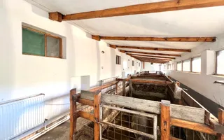 Ferma de vanzare cu 550MP utili si 27.500MP teren la asfalt - Poză 12