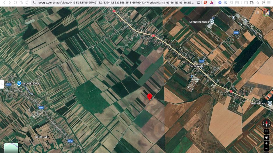 Teren extravilan 10.000 mp Tartasesti Dambovita - Poză 3