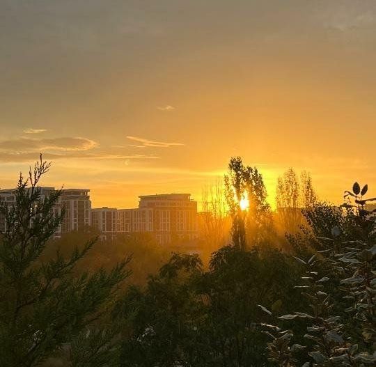 Apartament  cu 3 camere in Aviatiei - Poză 13