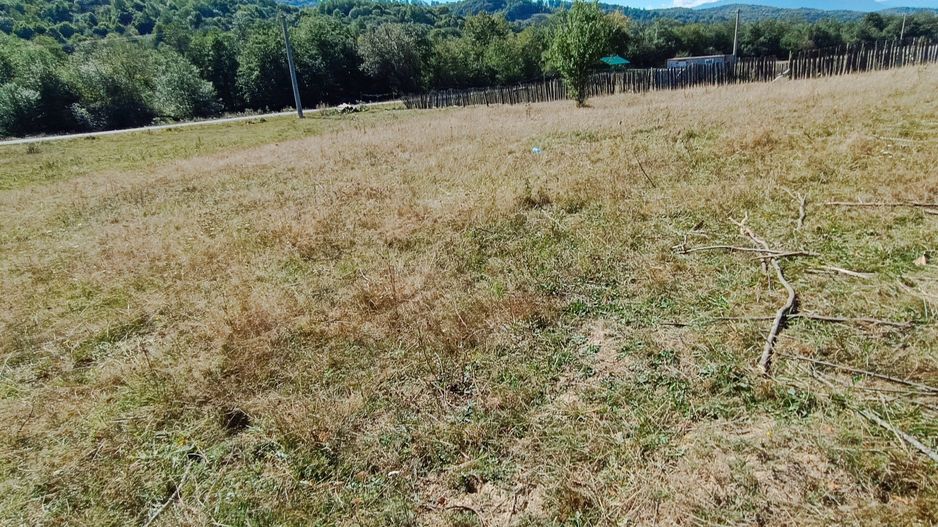 Teren intravilan in Rasnov, langa Cheile Rasnoavei - Poză 7