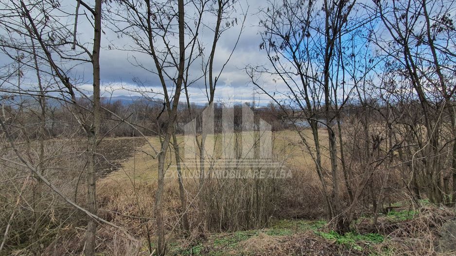 Vand teren extravilan - Poză 7