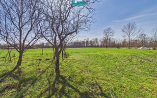 Casă cu teren generos de 6.000 m² - Poză 14