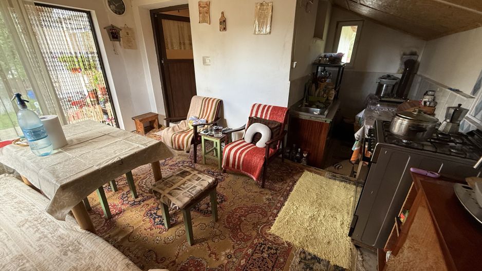 2 Case + teren 1390 mp langa parcul central Provita de Sus - Poză 14