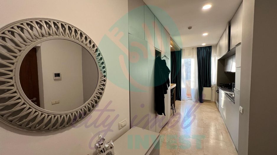 Studio modern langa Parcul Carol-Tineretului - Poză 2