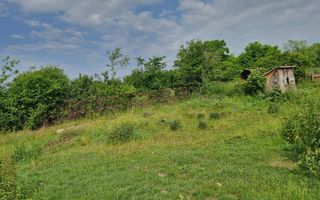 De vânzare Teren versatil 3.919 mp  in localitatea Armeni. Sibiu - Poză 6