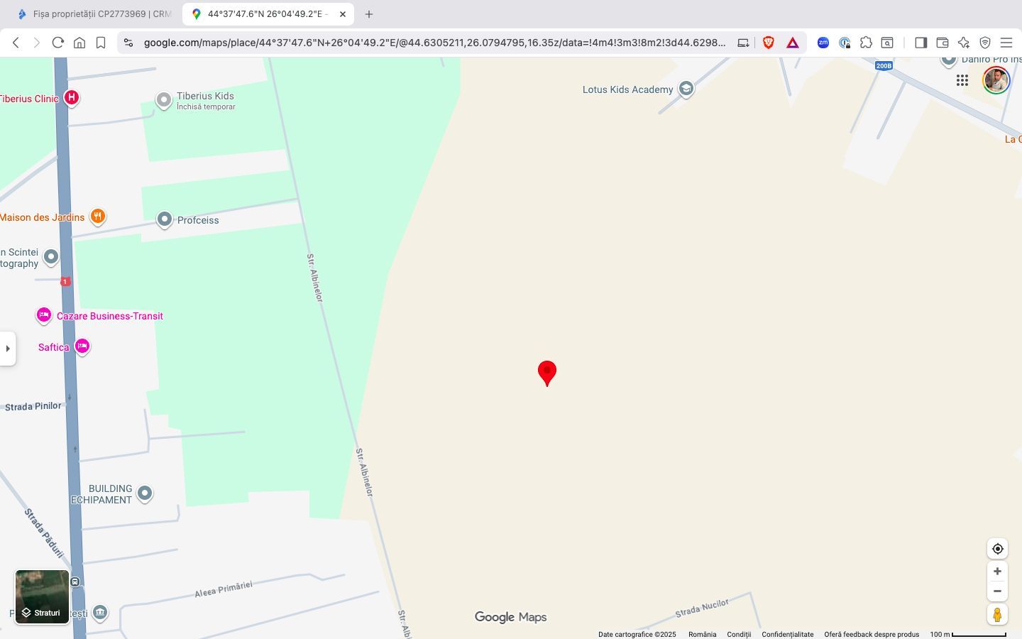 Teren extravilan 18.200 mp Saftica Balotesti - Poză 6