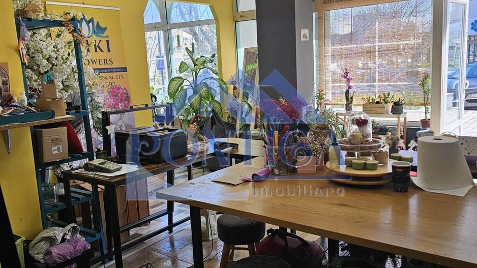 Spatiu Comercial zona Dacia - Poză 8
