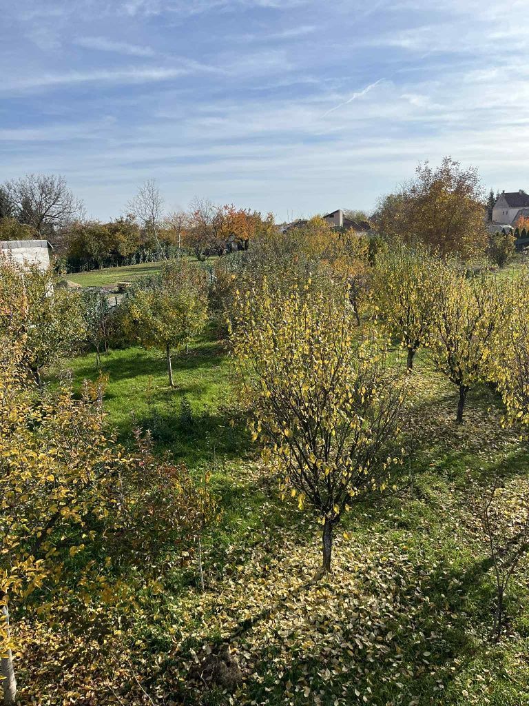 BRASADAS vinde casa tip S+P+M Titulescu 200mp teren 1600 mp. - Poză 8