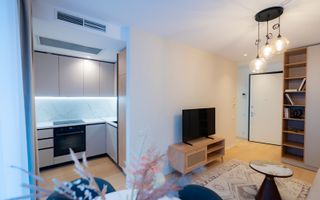 ONE LAKE CLUB – Apartament cu 2 camere tip studio - Petfriendly - Poză 2