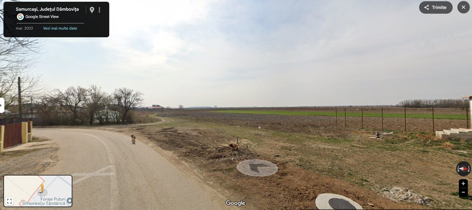 1.200 mp I CREVEDIA - SAMURCASI I UTILITATI IN ZONA I COMISION 0% - IMOZONE - Poză 1
