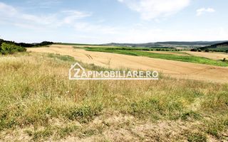 Teren 9.600 mp.17 euro mp deschidere la drum 200 m. - Poză 6