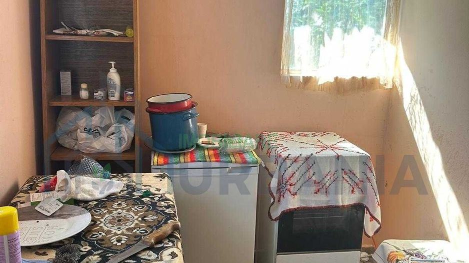 Casă tradițională cu anexă, beci și teren de 5700 mp, deschidere la drum principal, învecinată cu pădurea Bârnova, localitatea Pădureni, com. Grajduri, la 19 km de Iași - Poză 3