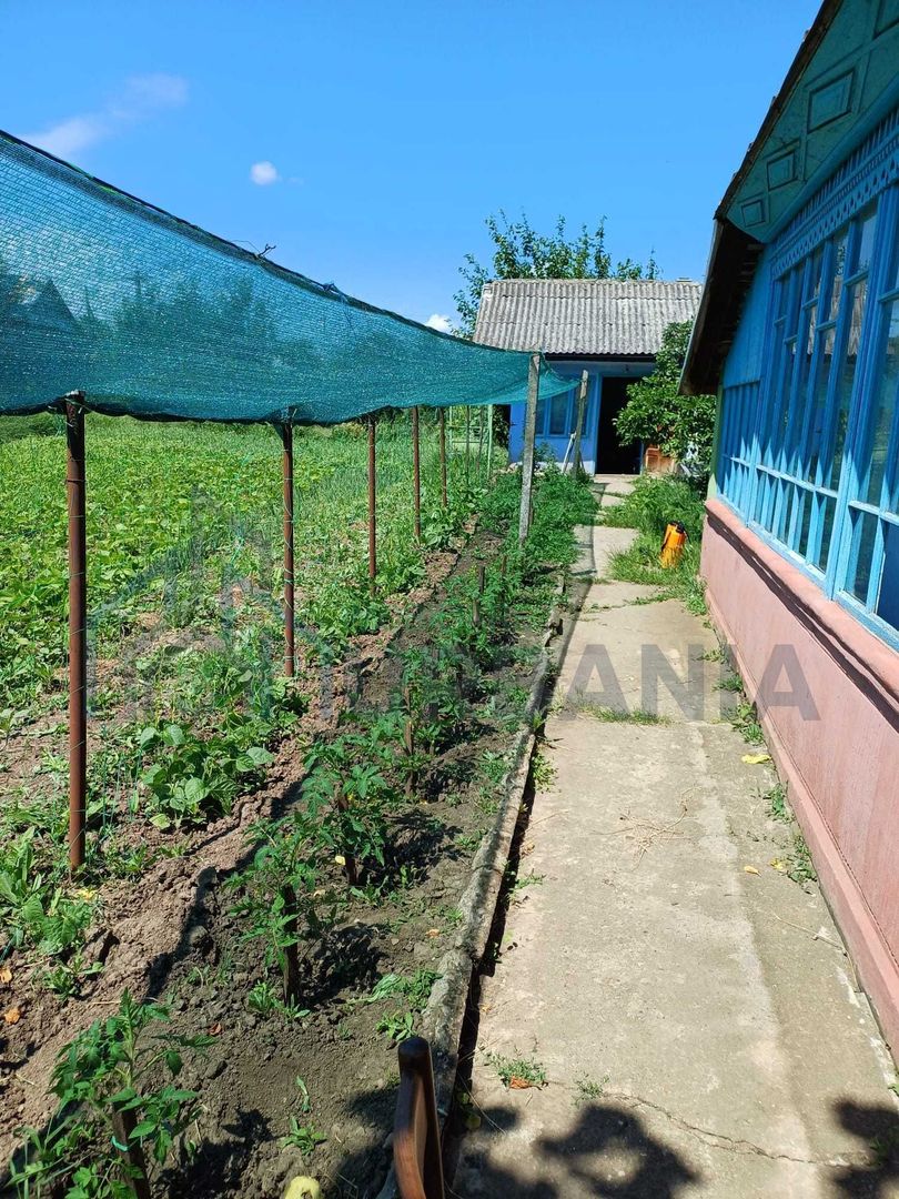 Casă locuibilă cu 3 camere și teren 4000 mp, Popesti, Iași - Poză 2