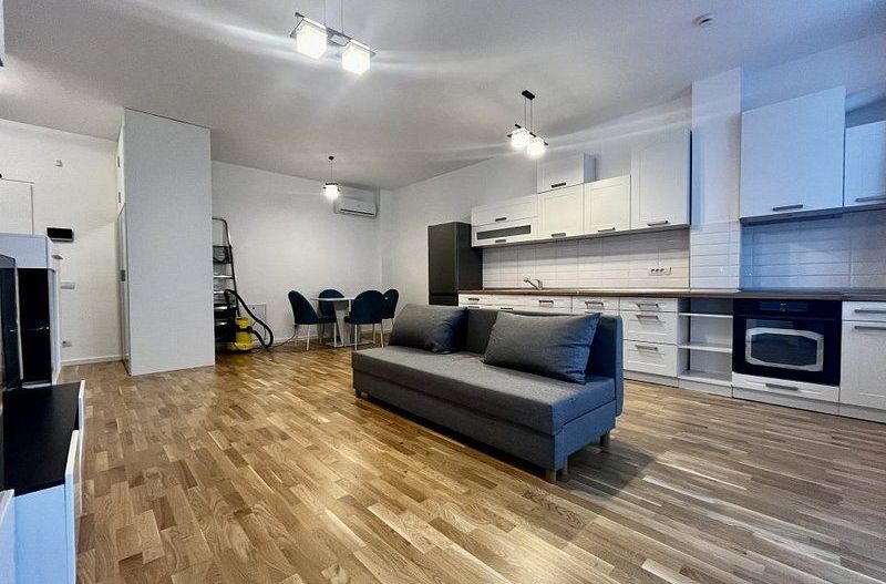 Apartament cu 2 camere de închiriat, la parter cu grădină, ISHO - Poză 2