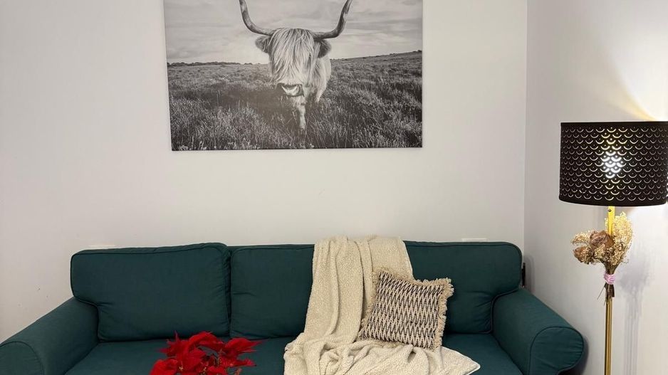 Giroc-Neptun | 1 Camera | Terasa 19 mp | Mobilat si Utilat - Poză 8