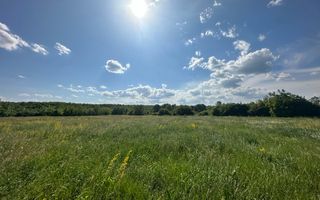 Teren Vanzare 11.000 MP Ghirdoveni | COMISION 0% - Poză 9