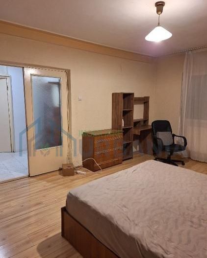 Apartament 1 camera Kaufland Pacurari - Poză 3