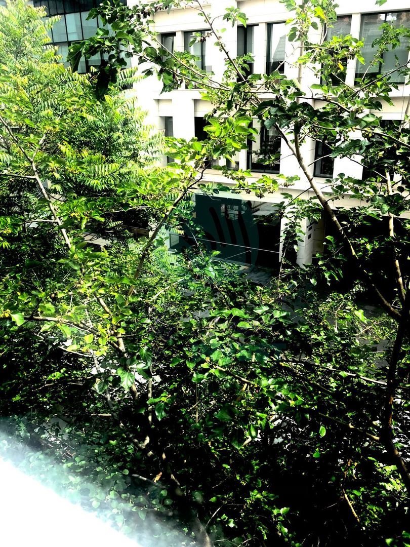 Apartament cu 3 camere renovat si cu parcare - Poză 9