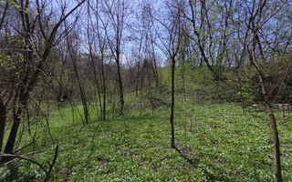 Investitie sigura! Teren foarte bine pozitionat in Brebu, Prahova - Poză 9