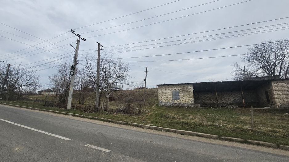 Teren pentru construcții 1 ha, Ruseștii Noi, Ialoveni - Poză 4