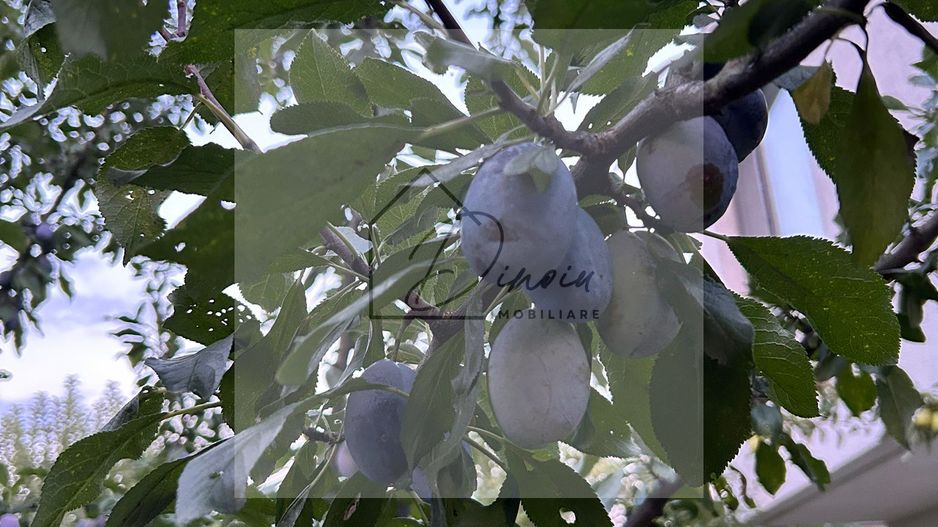 Vila de vanzare in Tunari I Gata de mutat I 4 camere I 5 parcari - Poză 56