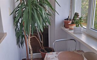 AP. 3 CAMERE BD. BASARABIA, BUCATARIE INCHISA, MOBILAT/UTILAT - Poză 11