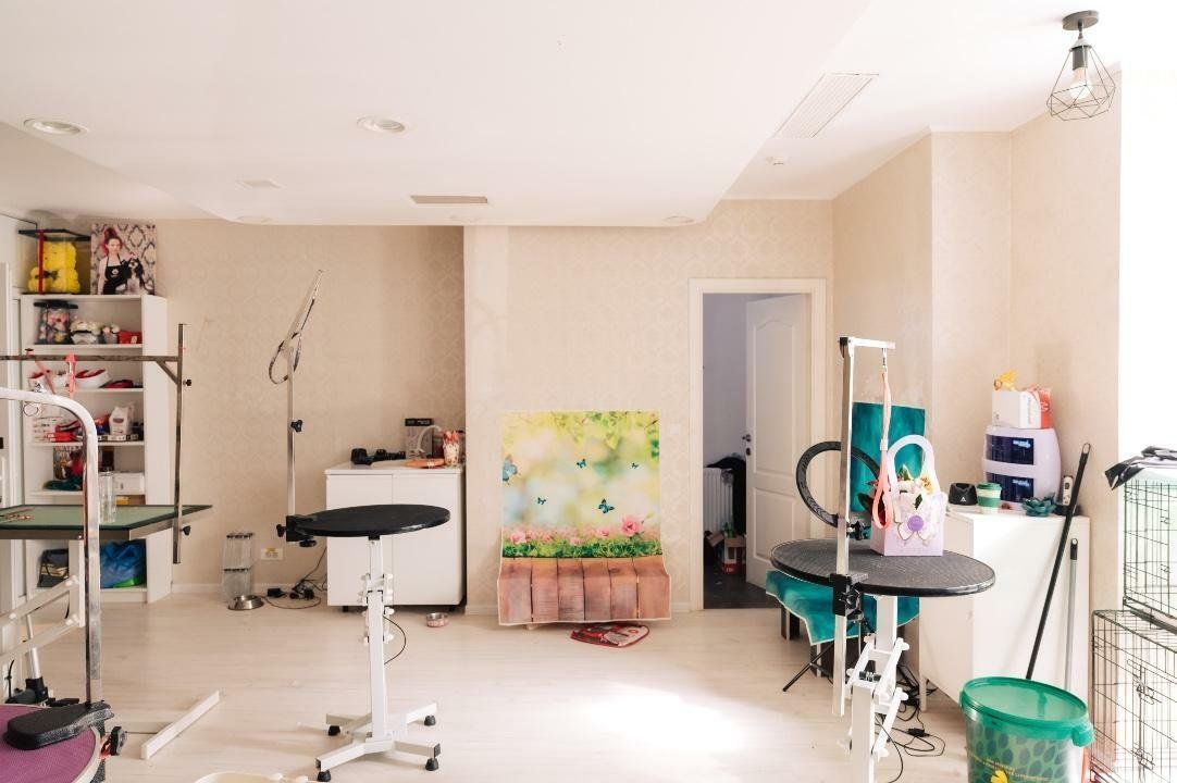 SPAȚIU VERSATIL DE VÂNZARE /  211 MP UTIL – 📍 Bulevardul Octavian Goga, Unirii - Poză 16