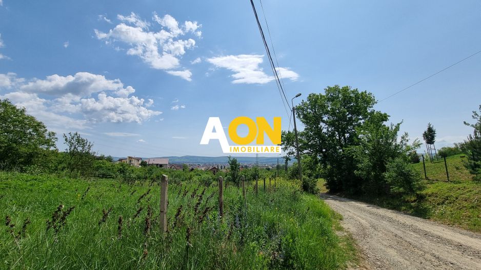 De vanzare 998 mp teren intravilan, Cetate - Poză 2