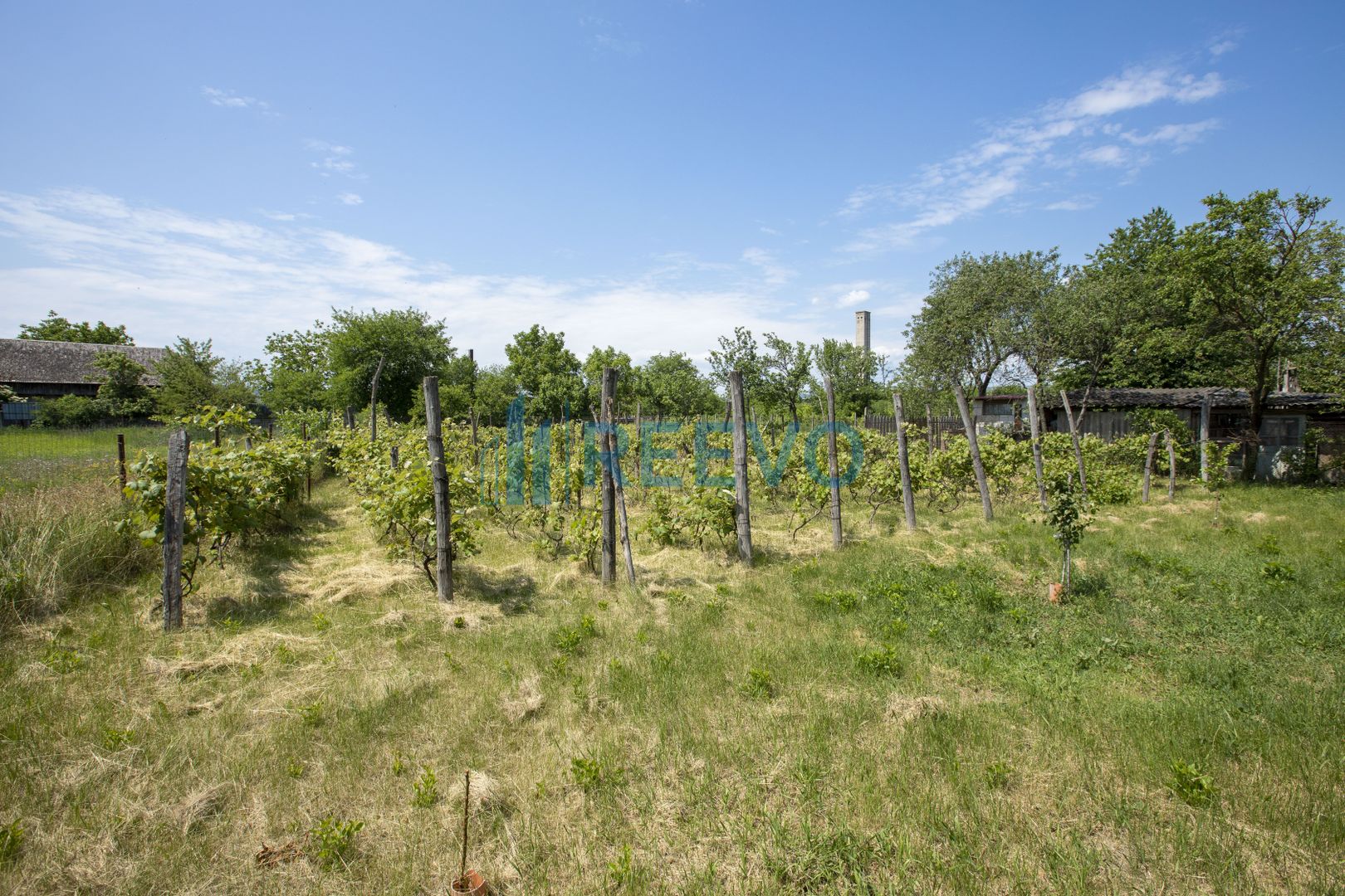 Casă de vânzare în Buhuși, jud. Bacău - Poză 35