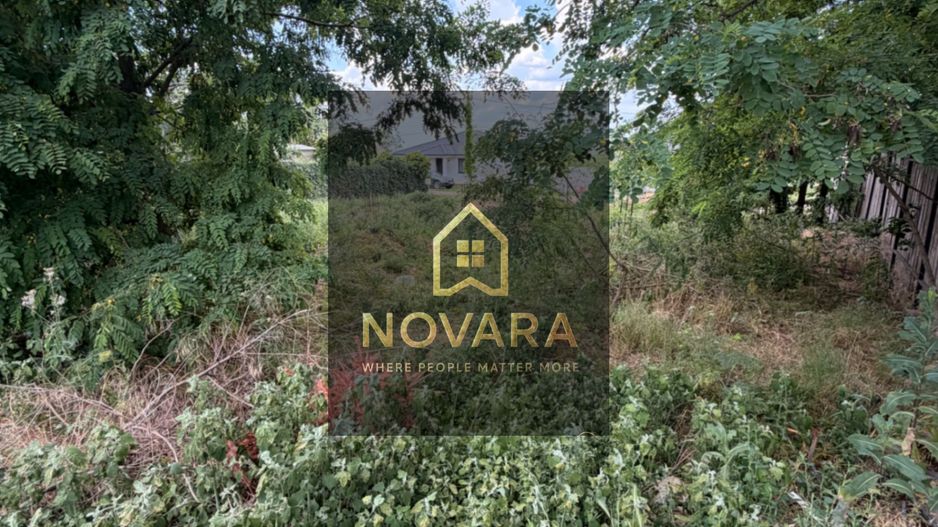 Teren intravilan 550mp de vanzare in Paleu - Poză 6