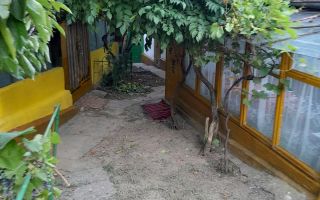 Gospodărie țărănească de vânzare cu 2 case și teren 6.700 mp, Cozia, jud. Iași - Poză 3