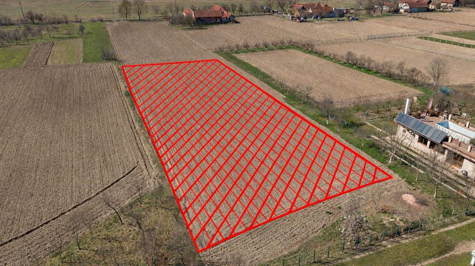 Loc de casă în Odvoș - Conop 3000mp - Poză 4