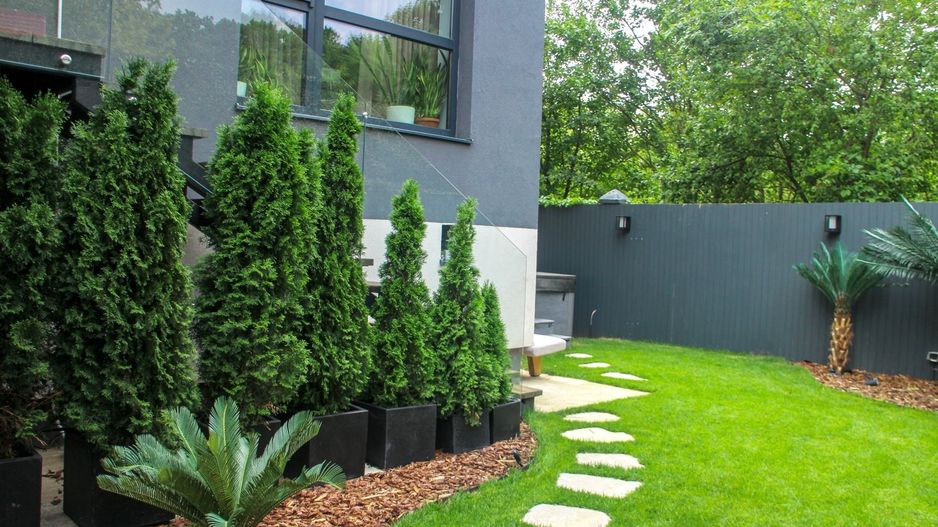 Apartament cu grădina de închiriat | Iancu Nicolae - Poză 5