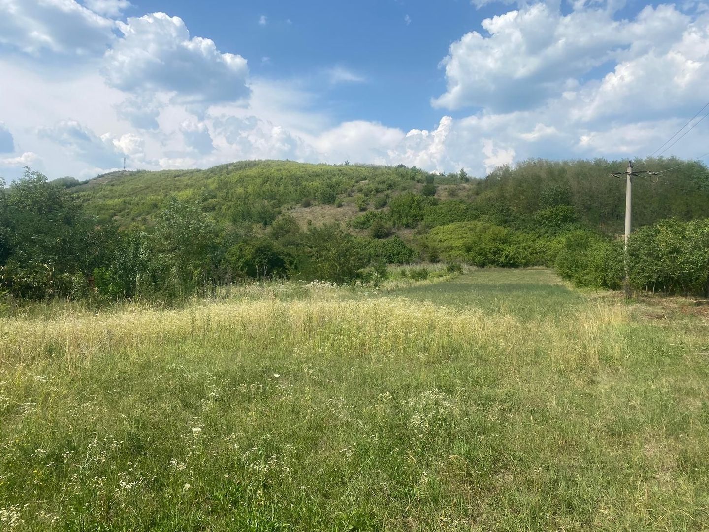 La cateva minute de oras! Vanzare teren intravilan in Viforata - Poză 1