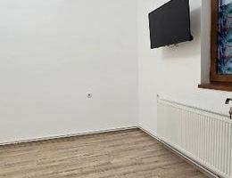 Apartament 1 camera zona Fabric curte comuna - Poză 2