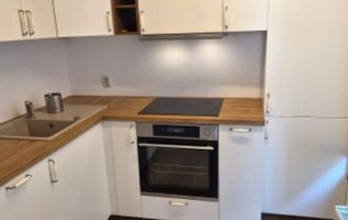 Apartament Baneasa / Somesul Rece