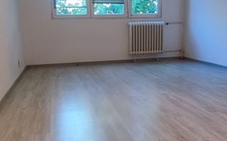 Apartament cu 3 camere ...Valea Oltului - Poză 16