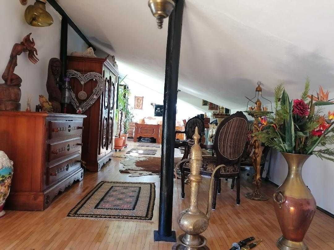 COTROCENI - Cuibușorul de nebunii al pictorului Zamfir DUMITRESCU - Poză 6