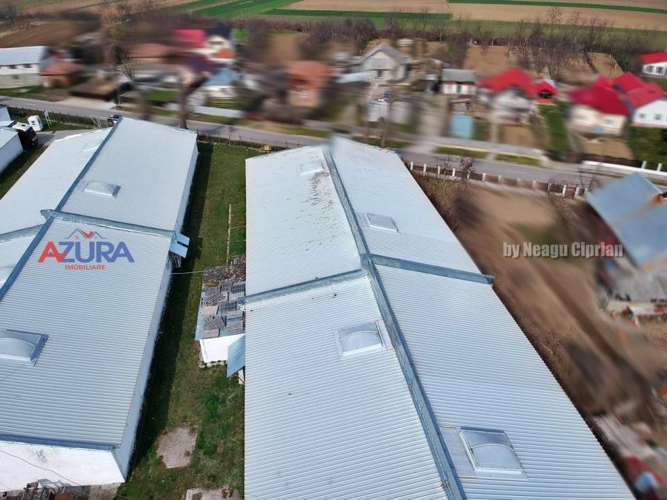 COMISION 0% - HALE Calinesti Arges - Poză 15