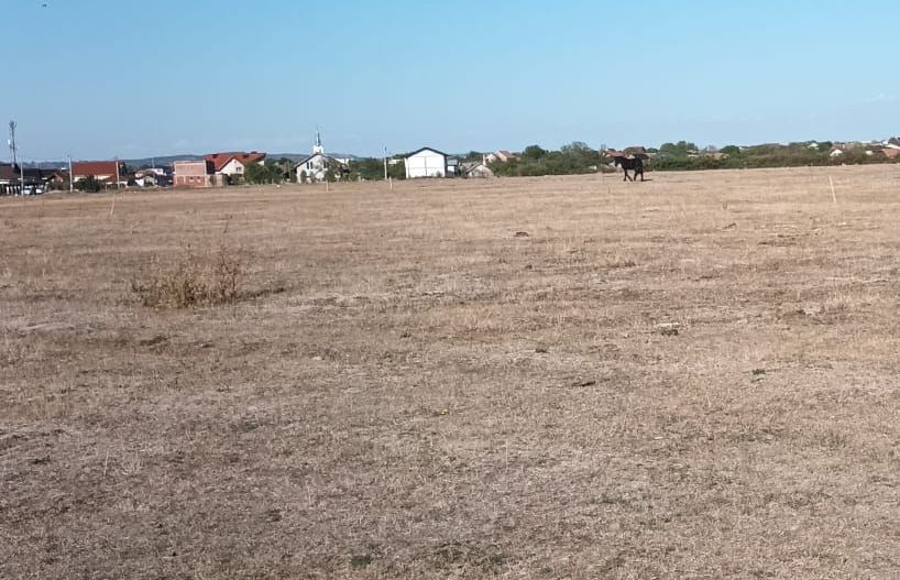 TEREN DE VANZARE IN CIHEI - Poză 3