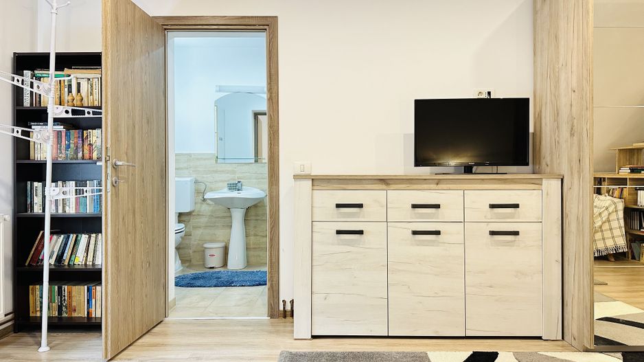 Apartament spatios cu 2 camere, in Vila apartamentata - Take Ionescu - Poză 18