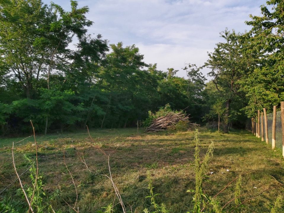 Teren zona montana in com.Turcinesti Jud.Gorj - Poză 3