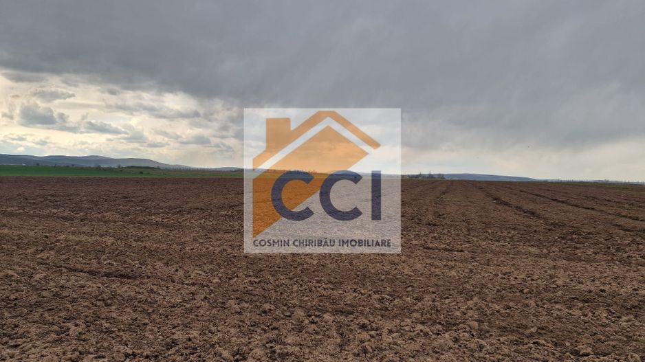 Teren 10,000mp Bacau / Strada Alexandru Safran - Poză 11