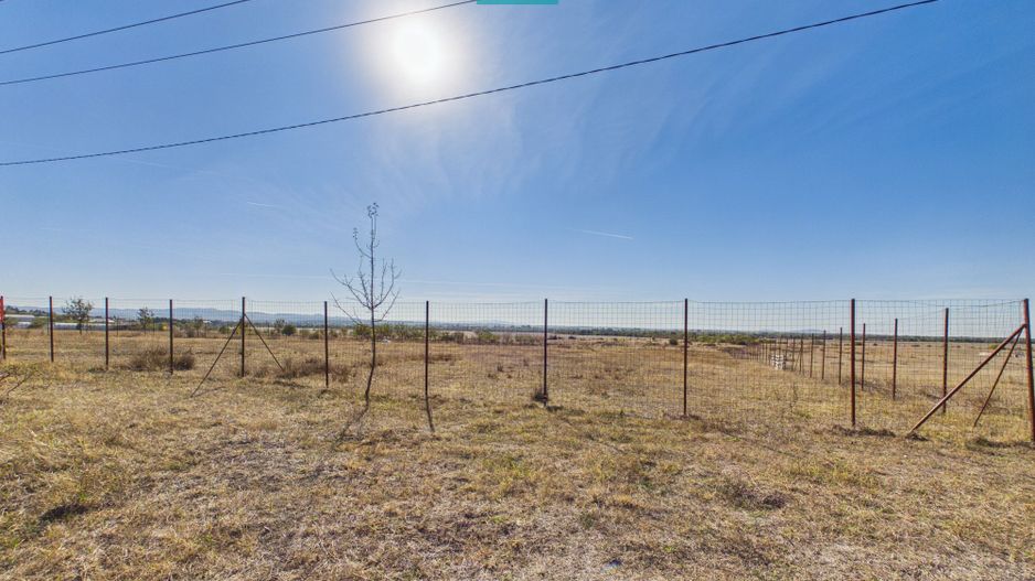 Teren intravilan de 5000 mp, în orașul Sebiș - Poză 1