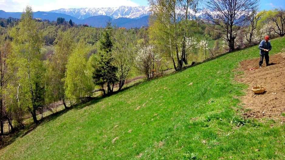 teren intravilan in zona Magura Bran - Poză 10