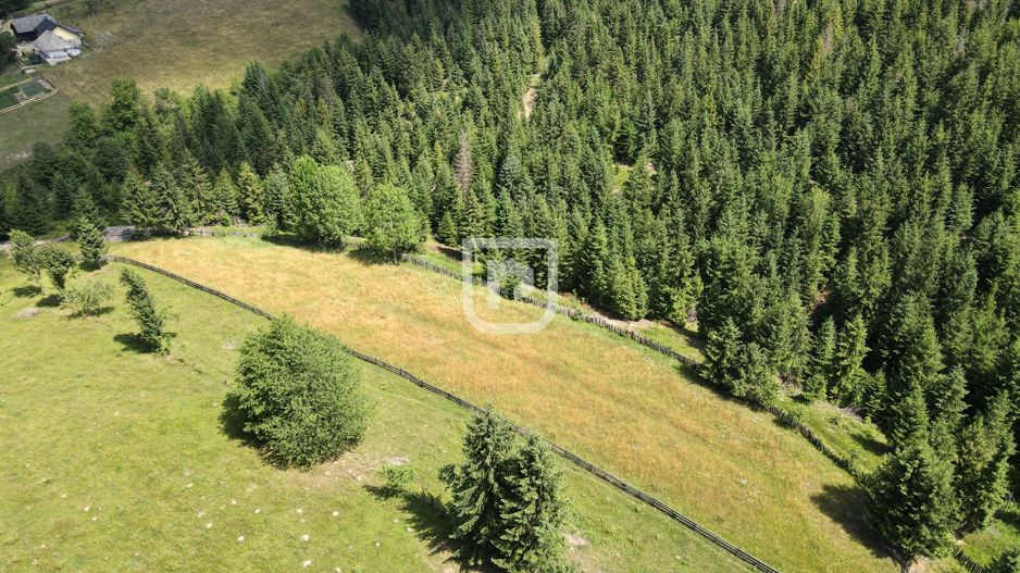 Teren 3600 mp cu priveliște montană în Mănăstirea Humorului | Bucovina - Poză 4