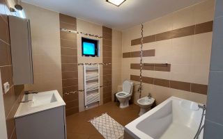 Proprietar | Valea Adâncă | 3 camere | 83mp | 250mp teren | Mobilată - Poză 11