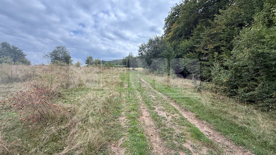 Teren de vânzare în Putna | 6.400 mp | 56 m front stradal - Poză 4