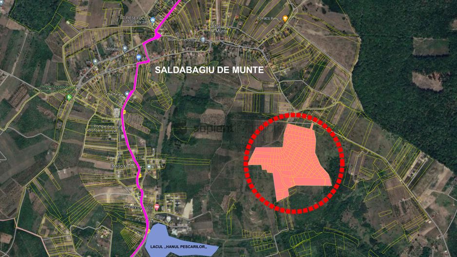 Sapient | 174 de parcele cu PUZ aprobat - Schiță 5